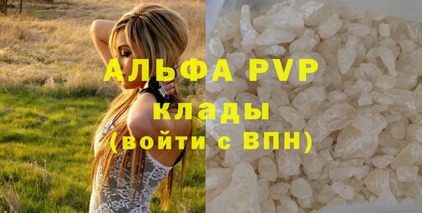 эйфоретик Белокуриха