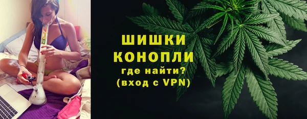 эйфоретик Белокуриха