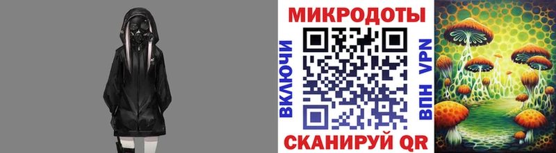 Галлюциногенные грибы Psilocybe  Демидов 